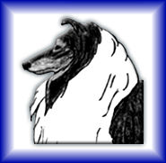 Gruppenavatar von Stolz, einem Collie zu gehören