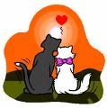 Gruppenavatar von ****I love animals!!****forever*****