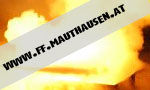 Gruppenavatar von Ich Lebe Für Die Feuerwehr Mauthausen