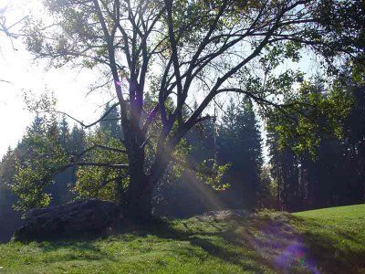 Gruppenavatar von Sweet home Gloxwald, where skies are so blue..