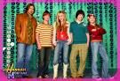 Gruppenavatar von Hannah Montana european tour