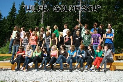 Gruppenavatar von Hilfe, Goldfisch!!