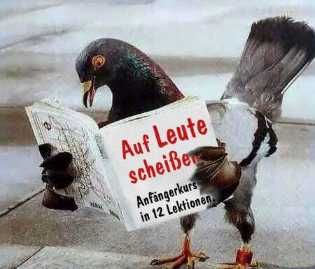 Gruppenavatar von VöGeL wErDeN diE weLtheRrSchAft aN sIch ReißEn...!!!!!