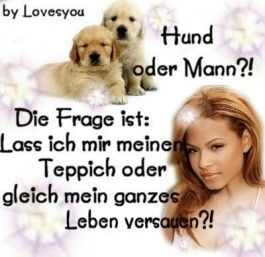 Gruppenavatar von HUND ODER MANN?Die Frage ist:Lass ich mir den Teppich oder mein ganzes Leben versauen!?!