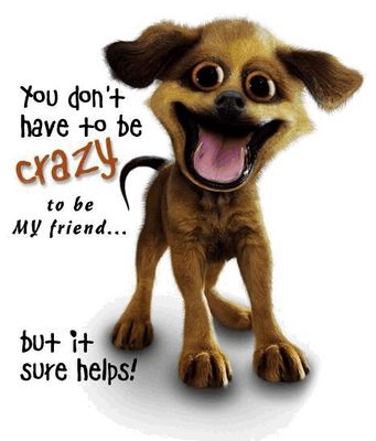 Gruppenavatar von You don't have to be crazy to be my friend...but it sure helps!