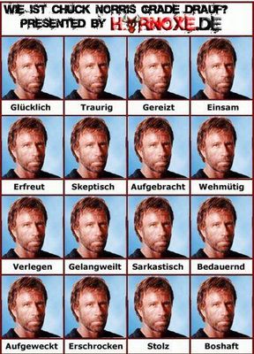 Gruppenavatar von Chuck Norris weiss sogar warum der Elektriker eine Maske trägt!