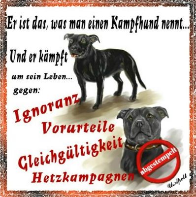 Gruppenavatar von Kampfhund-Liebhaber