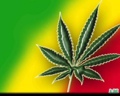 Gruppenavatar von ▄▀▄▀▄▀▄▀▄▀▄▀▄▀▄▀▄   LeGaLiZe iT   ▄▀▄▀▄▀▄▀▄▀▄▀▄▀▄▀▄