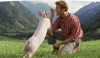 Gruppenavatar von Spitztz eichare Schweinsohren, los gehts!