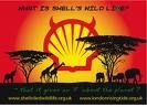 Gruppenavatar von Shell Schern!!!