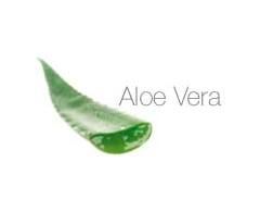 Gruppenavatar von Aloe Vera 4-ever *lol*