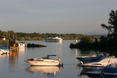 Gruppenavatar von Au an der Donau - das schönste Stück Österreichs