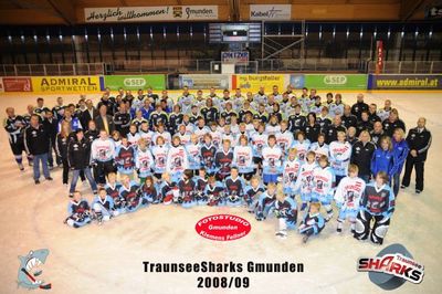 Gruppenavatar von Eishockey Spieler der Spielgemeinschafft EHV Gmunden und EHV EC Wels
