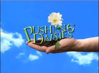 Gruppenavatar von Pushing Daisies