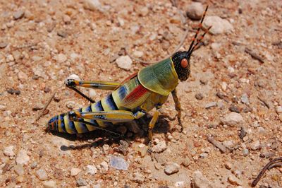 Gruppenavatar von NAMIBIA