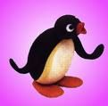 Gruppenavatar von Pingu forever