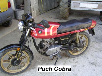 Gruppenavatar von Puch cobra