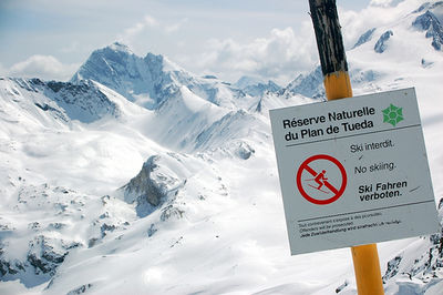 Gruppenavatar von SKI FAHRER SIND MÖCHTEGERN SNOWBOARDER MIT STÜZRAD