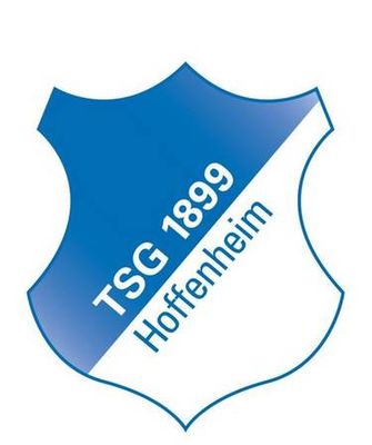 Gruppenavatar von 1899 Hoffenheim