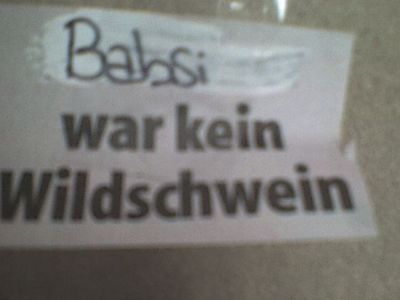 Gruppenavatar von Babsi war kein Wildschwein