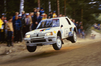 Gruppenavatar von Peugeot 205 WRC