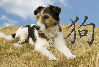 Gruppenavatar von Chinesisches Sternzeichen = Hund