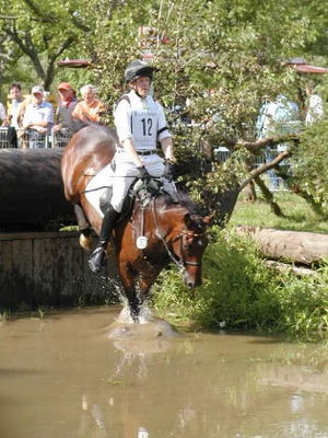 Gruppenavatar von Und beim Reiten sitzt man ja nur aufm Pferd und tut nix-Gruppe