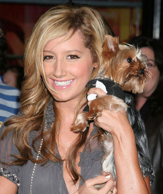 Gruppenavatar von ashley tisdale...the best 4-ever