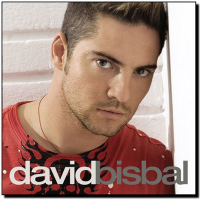 Gruppenavatar von Sommer 2007-08     David Bisbal Silencio