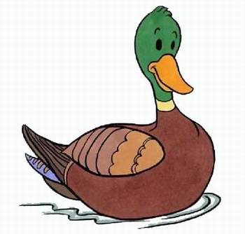 Gruppenavatar von Im nächsten Leben will ich eine ENTE sein......