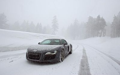 Gruppenavatar von Don´t try to catch a quattro in the snow!!!