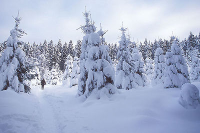 Gruppenavatar von ich verstehe die leute nicht die schnee nicht mögen