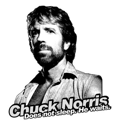 Gruppenavatar von Sido hat Chuck Norris einmal gefragt ob er wirklich Chuck Norris heißt. Seit dem trägt er eine Maske