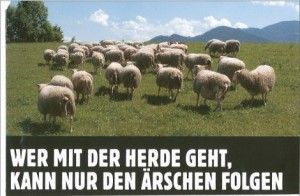 Gruppenavatar von Wer mit der Herde geht, kann nur den Ärschen folgen!