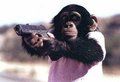 Gruppenavatar von Affen mit Waffen 