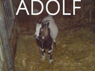 Gruppenavatar von I hob an Goasbock --- Sie nannten ihn ADOLF!!!