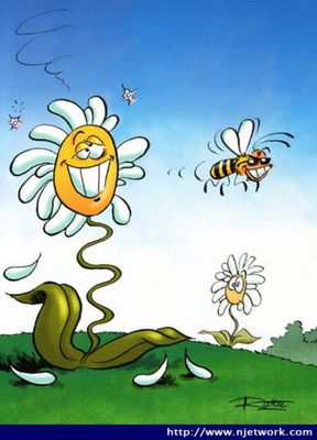Gruppenavatar von SEX? Soll das heißen, die Bienen ficken die Blumen ... ? ;-)