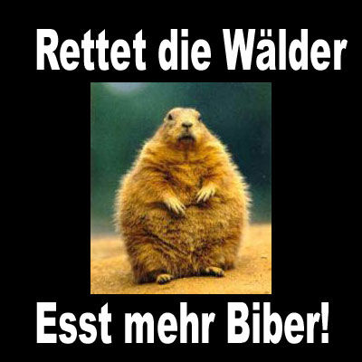 Gruppenavatar von Rettet den Wald,esst mehr Biber!!!