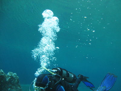 Gruppenavatar von Tauchen im Grünen See