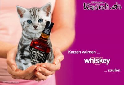 Gruppenavatar von Katzen würden Whiskey saufen