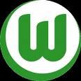 Gruppenavatar von VFL Wolfsburg (Meister 2009)