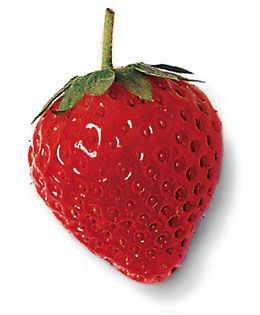 Gruppenavatar von Brockts Erdbeeren! Wir brauchen mehr Erdbeeren!!!