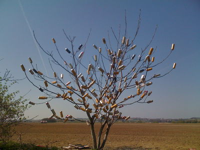 Gruppenavatar von BIERBAUM FUCHSNMUADA