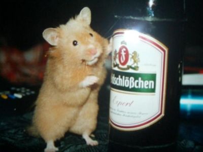 Gruppenavatar von Lieber ein bekannter Säufer als ein anonymer Alkoholiker