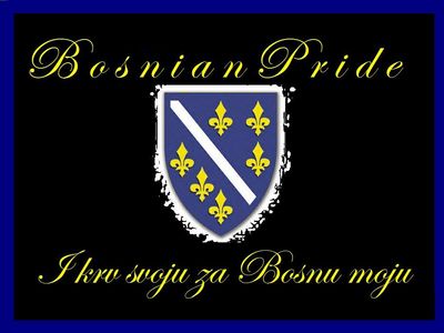 Gruppenavatar von ****SINOVI BOSNE I HERCEGOVINE****