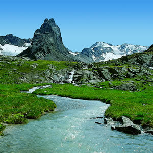 Gruppenavatar von Sommer - Lass die Sonne rein und die Sau raus! 