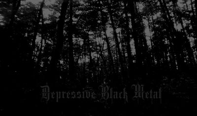 Gruppenavatar von Depressive / Suicidal Black Metal