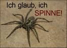 Gruppenavatar von wenn spinnen auf spinnende spinnen spinnen spinnen, spinnen spinnende spinnen auf spinnende spinnen