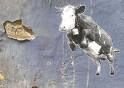 Gruppenavatar von Die Kuh springt hoch, die Kuh springt weit, warum auch nicht - sie hat ja Zeit