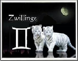 Gruppenavatar von ღ♡ღIch liebe es ein ZWILLING zu seinღ♡ღ